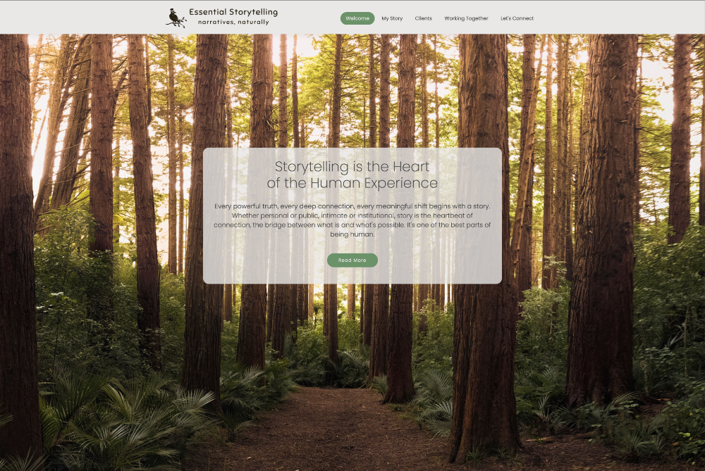 Essential Storytelling